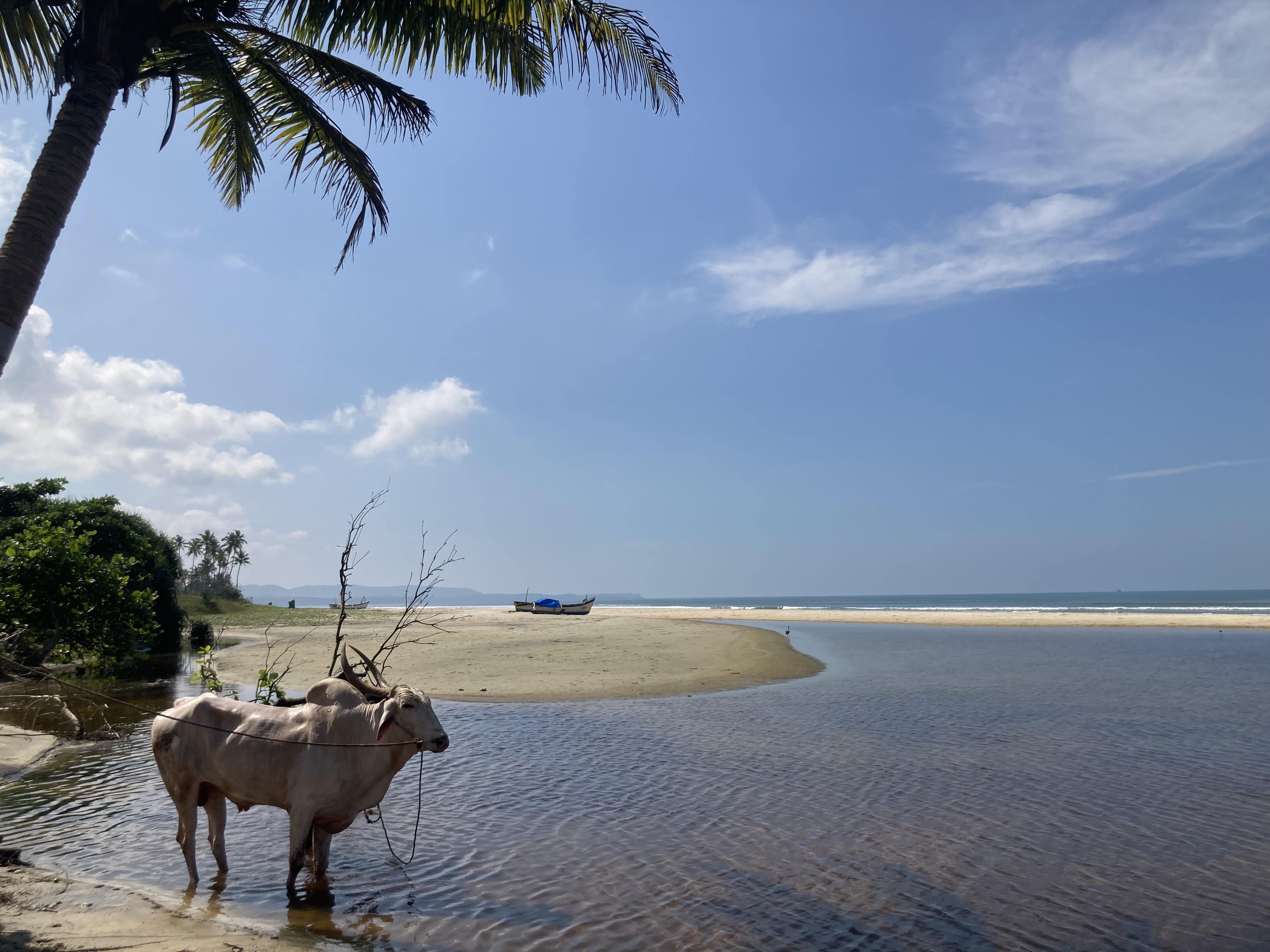 Carmona, Goa